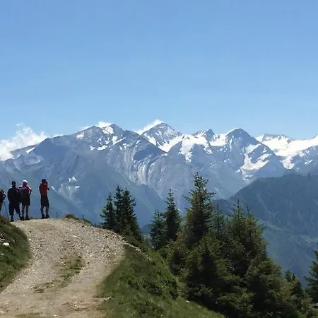Апартаменты Alpenhaus Pfister Фюген